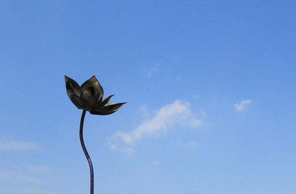 公园不锈钢荷花景观雕塑图片