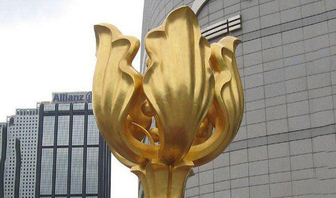 不锈钢金色紫荆花雕塑图片