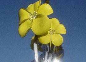 不锈钢兰花城市雕塑