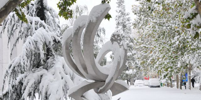 公园不锈钢雪花景观雕塑图片