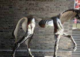 公园不锈钢抽象马雕塑