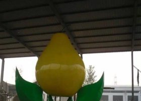  广场不锈钢鸭梨雕塑