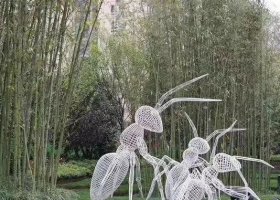 不锈钢艺术动物蚂蚁雕塑