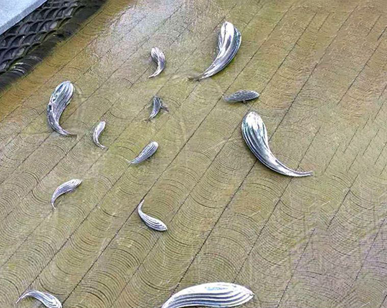 抽象不锈钢小鱼雕塑图片